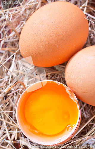 Image of eggs
