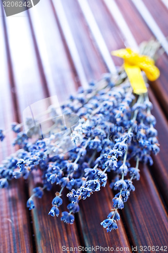 Image of lavender