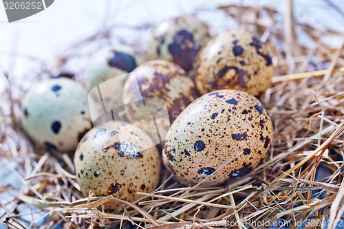 Image of eggs