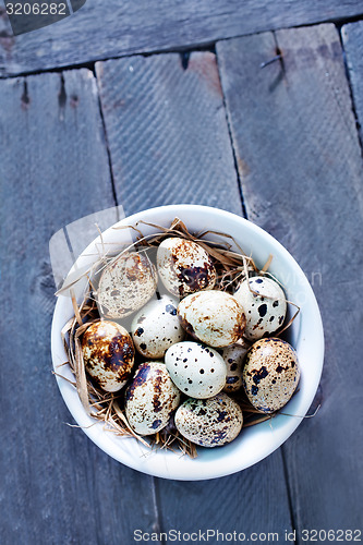 Image of quail eggs