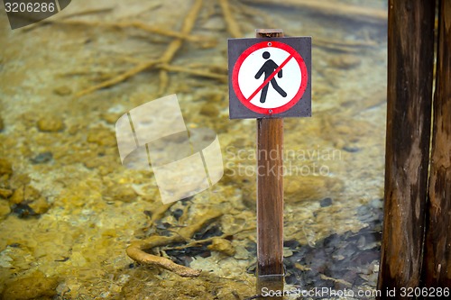 Image of Dont step into the water