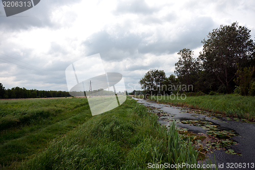 Image of Sunshine in the forest at spring