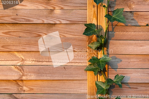 Image of wooden fence closeup photo