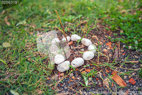 Image of Rocks and Stones as a Background