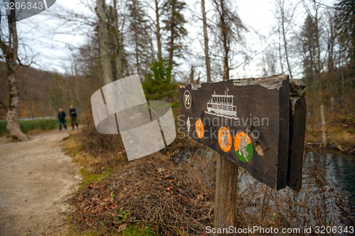 Image of Small Pathway going trough the forest