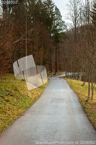 Image of Small Pathway going trough the forest