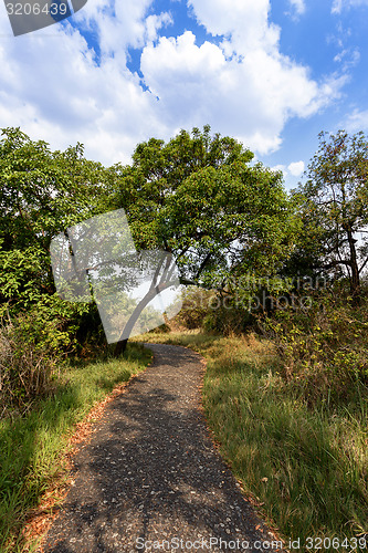 Image of Pathway in a Park Victoria Falls, Zimbabwe in Spring