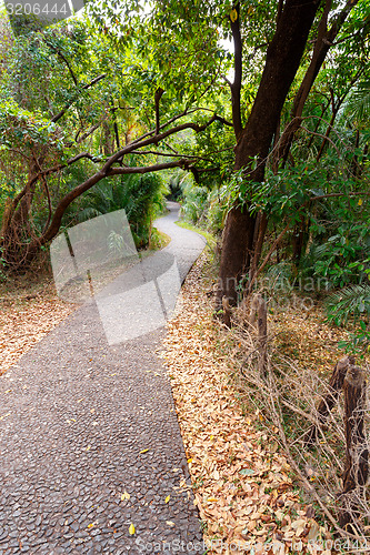 Image of Pathway in a Park Victoria Falls, Zimbabwe in Spring