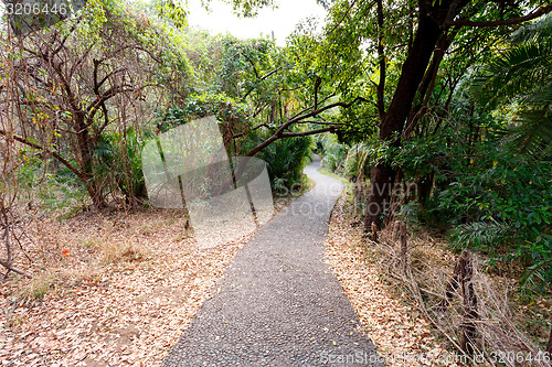 Image of Pathway in a Park Victoria Falls, Zimbabwe in Spring
