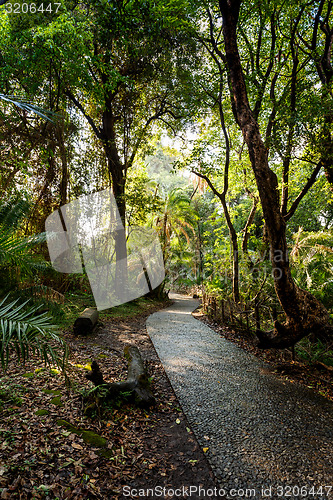 Image of Pathway in a Park Victoria Falls, Zimbabwe in Spring