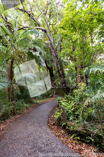 Image of Pathway in a Park Victoria Falls, Zimbabwe in Spring