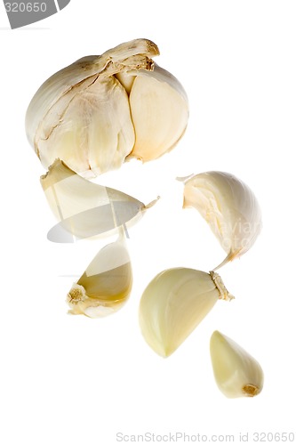 Image of Clove of garlic

