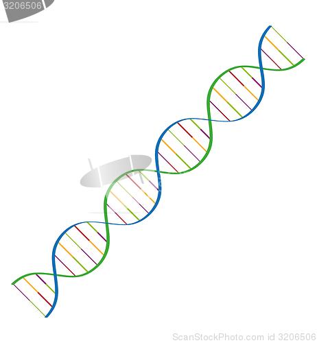 Image of dna spiral