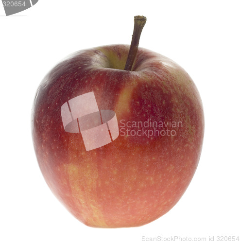 Image of Single red apple

