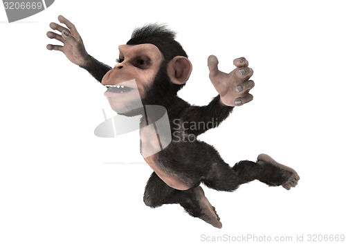 Image of Little Chimp