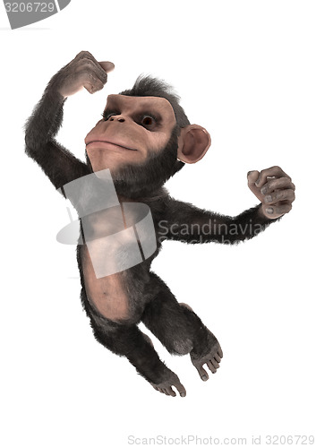 Image of Little Chimp