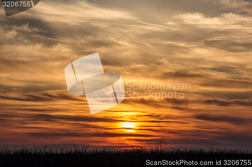Image of flying birds on dramatic sunset background