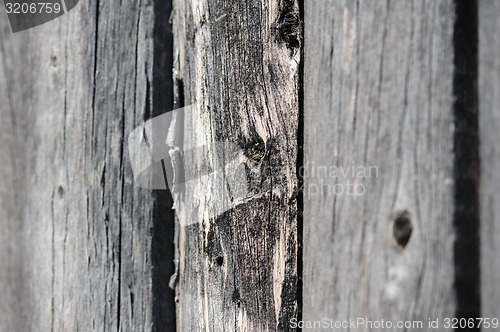 Image of cracked aged wooden boards