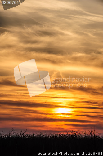 Image of flying birds on dramatic sunset background