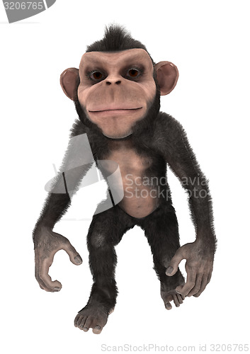 Image of Little Chimp