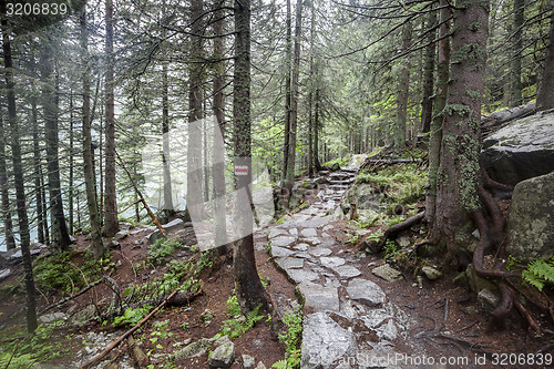 Image of Mountain trail in Tatry, Poland.