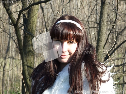 Image of Portrait of the young bride on the nature