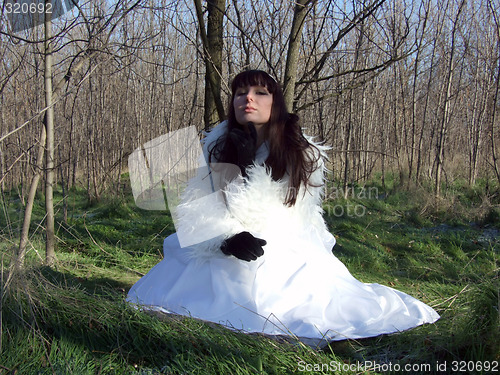 Image of The young bride in a white dress on the nature 1