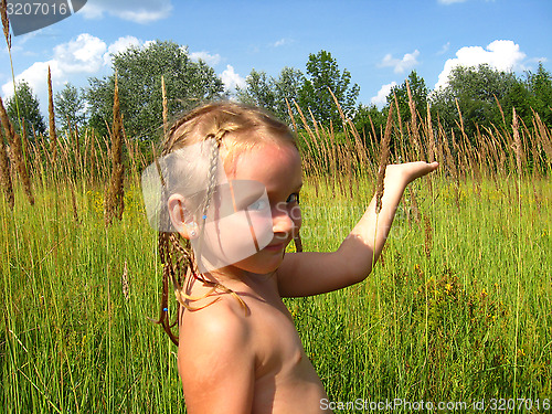 Image of little girl with a lot of braides