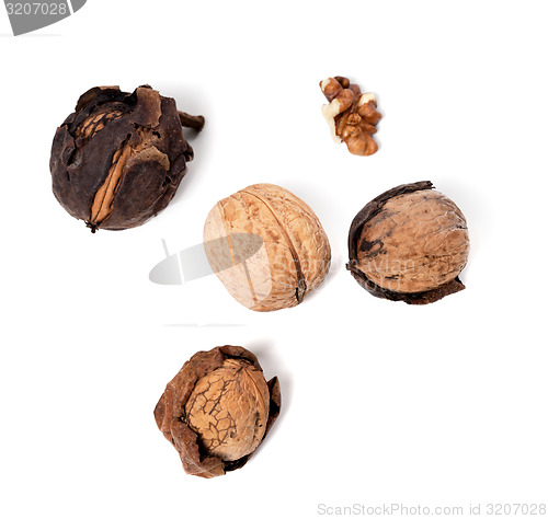 Image of Walnuts on white background