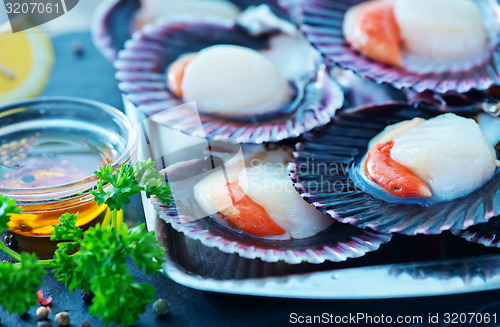 Image of scallops