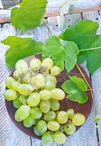 Image of grape