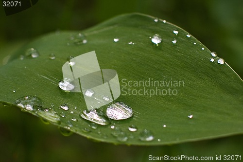 Image of freshness of summer