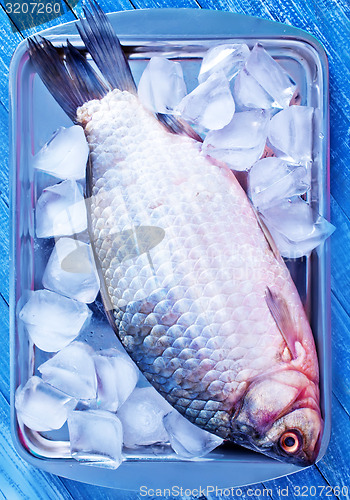 Image of fresh fish