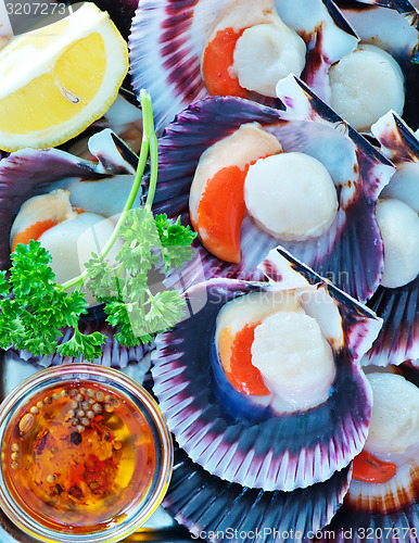 Image of scallops