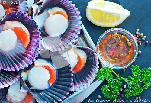 Image of scallops