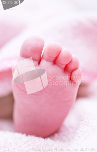 Image of baby foot