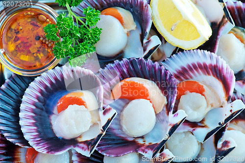 Image of scallops