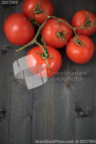 Image of Fresh tomatoes 