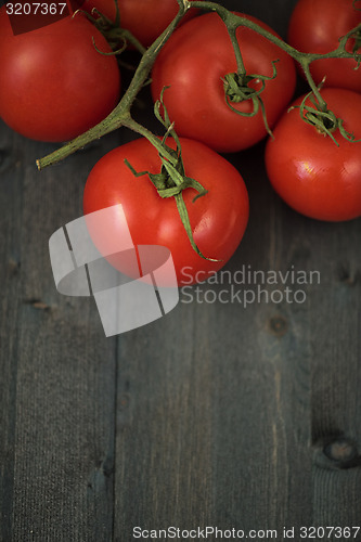 Image of Fresh tomatoes 