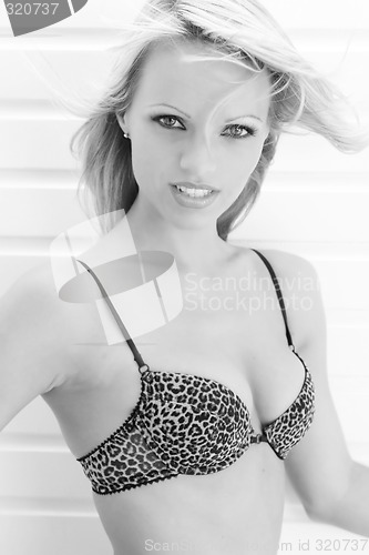Image of Woman posing in lingerie
