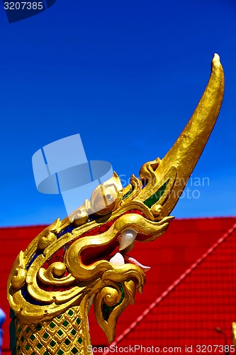 Image of dragon  in thailand incision of the buddha gold  temple