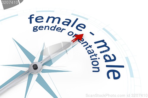 Image of Compass Sexual Orientation