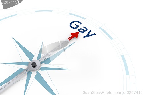 Image of Compass Sexual Orientation