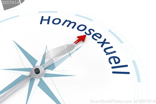 Image of Compass Sexual Orientation