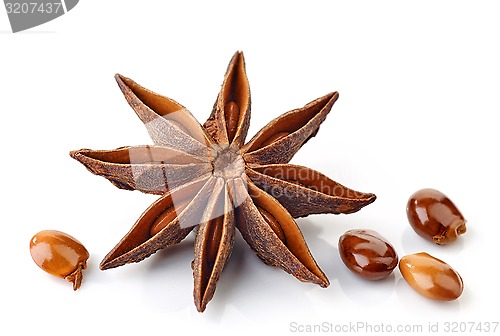 Image of Star anise spice and seeds