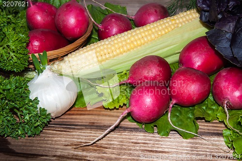 Image of Red garden radish and fresh herbs