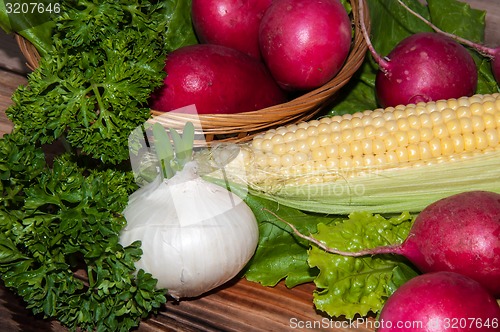 Image of Red garden radish and fresh herbs