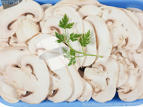 Image of Champignon mushroom background