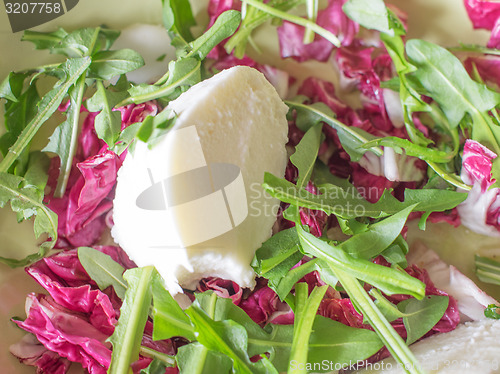 Image of Lettuce salad