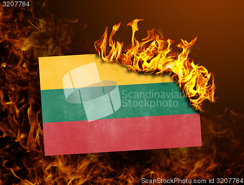 Image of Flag burning - Lithuania